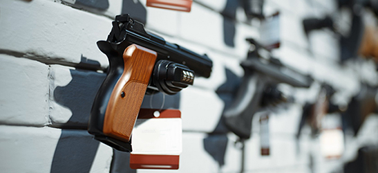 Freedom Belle Firearms